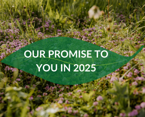 FitCamp Montenegro 2025: A Year of Connection, Healing, and Sustainability 4 our promise to customers in 2025 fitcamp montenegro wellbeing holidays and mindful retreat