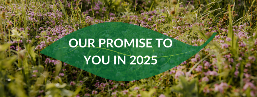 FitCamp Montenegro 2025: A Year of Connection, Healing, and Sustainability 4 our promise to customers in 2025 fitcamp montenegro wellbeing holidays and mindful retreat