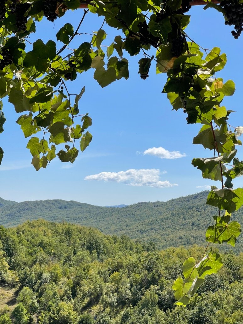 Guided Cloud Gazing: A Meditative Journey Above 7
