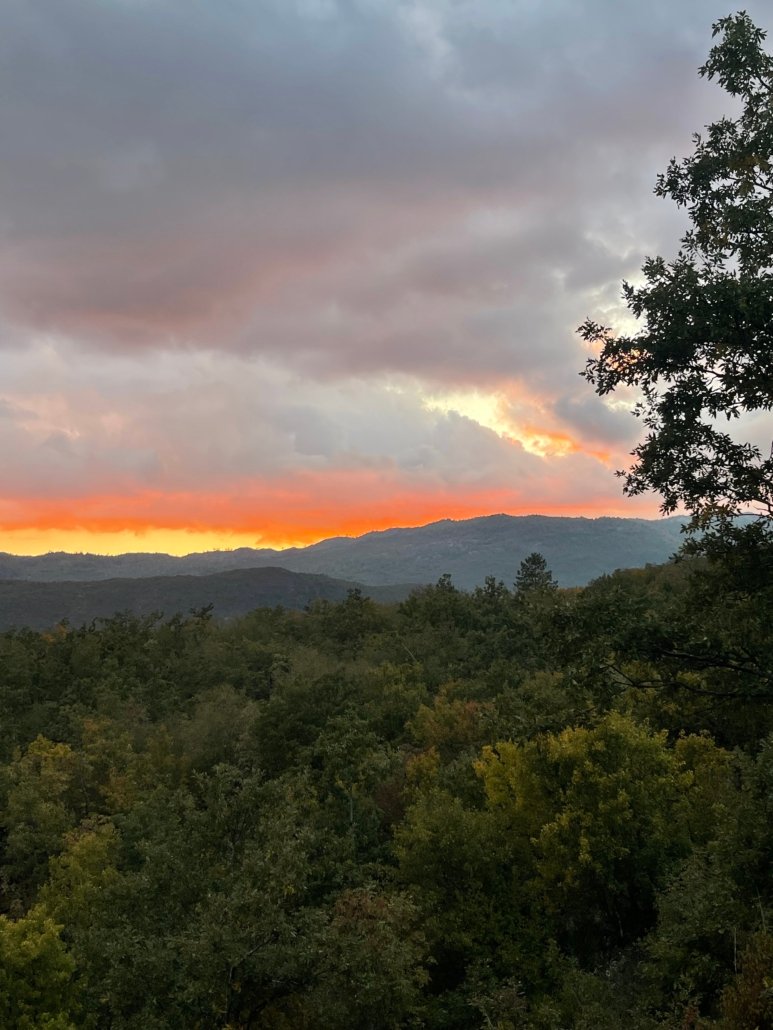 Guided Cloud Gazing: A Meditative Journey Above 5