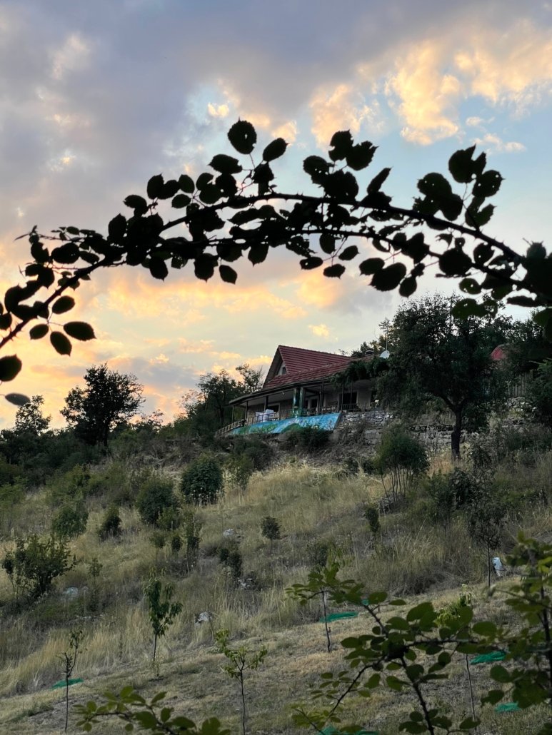 Guided Cloud Gazing: A Meditative Journey Above 3