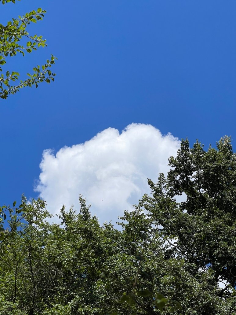 Guided Cloud Gazing: A Meditative Journey Above 6
